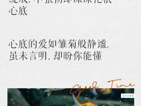 小雏菊的花语代表什么？送人小雏菊要注意这些！