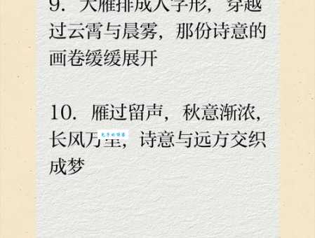 雁过拔毛的真正含义是什么?教你轻松理解成语