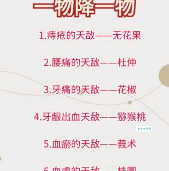 一物降一物是什么意思？看完这篇你就懂了