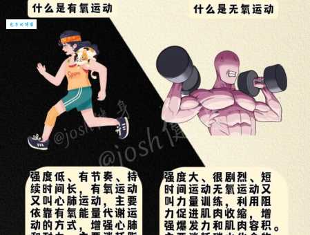 有氧运动和无氧运动的区别是什么?详解有氧运动与无氧运动的差异