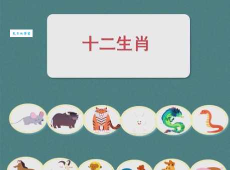 一言九鼎的动物，你猜对了吗？生肖大揭秘