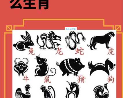 一衣带水打一动物：猜猜是什么生肖？