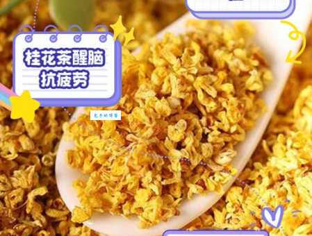 自己摘的桂花怎么泡水喝？清洗晾干是关键步骤