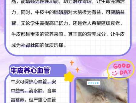 什么是头层牛皮？深度解析头层牛皮的特性与价值