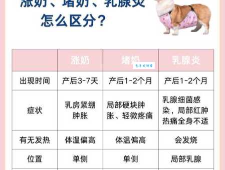 网络流行语“毒奶”是什么意思?带你了解“毒奶”的含义及用法