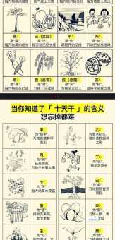 一篇文章搞定天干地支怎么读，附带详细发音