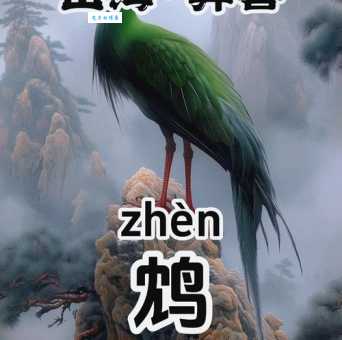 传说中的毒鸟鸩是什么鸟？饮鸩止渴典故中鸩鸟的真相大揭秘！