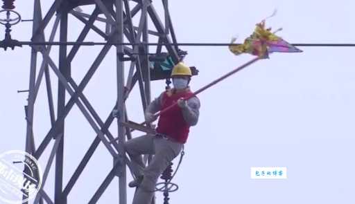 “自挂东南枝”典故出处及含义深度解读