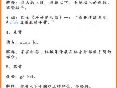 你知道肱怎么读吗？掌握肱字读音及相关知识点