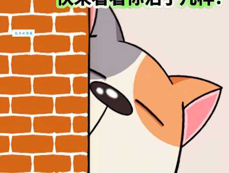 “二货”到底什么意思？看完你就懂了