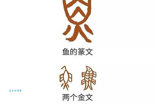 四个鱼字组成的罕见汉字:䲜字的起源和用法