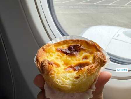 什么是海芋恋？探索其浪漫含义与文化象征