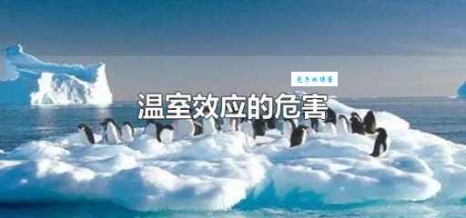 深入了解：导致温室效应的几种主要气体及其危害