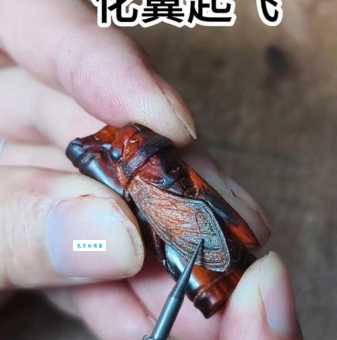 “雕虫小技”的“虫”是什么意思？含义你真的知道吗？