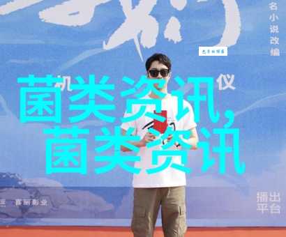 别再被绕晕了！什么是软环境？通俗讲解及应用