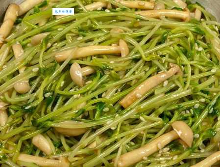 豌豆发芽了还能吃吗？别扔！教你做出美味豌豆芽