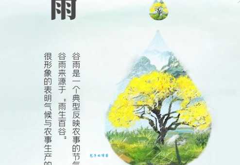 谷雨的寓意是什么？带你了解谷雨节气的美好象征与文化故事