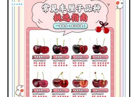 想让车厘子放得久？这些保存方法你必须知道