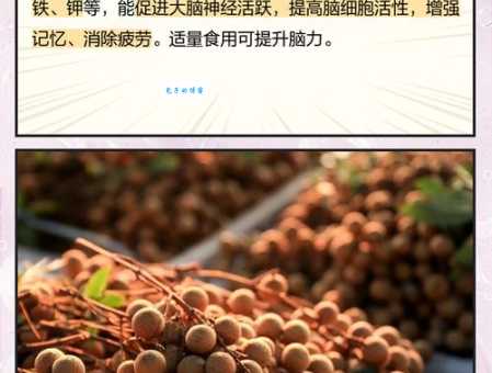 龙眼与桂圆傻傻分不清？带你了解它们的区别和营养价值