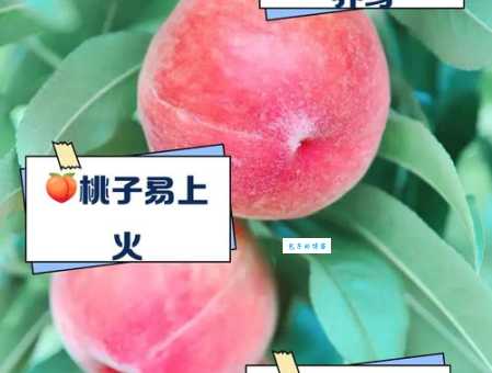 桃子是热性还是凉性？中医角度告诉你答案！