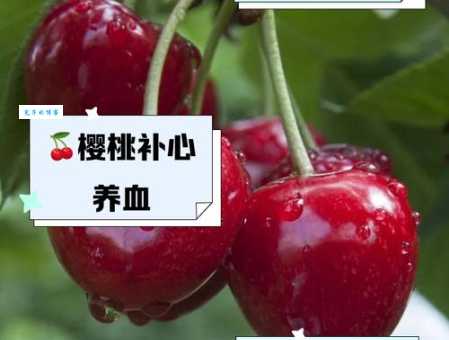 桃子是热性还是凉性？中医角度告诉你答案！