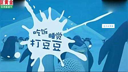 “吃饭睡觉打豆豆”啥意思？打豆豆网络流行语含义解读