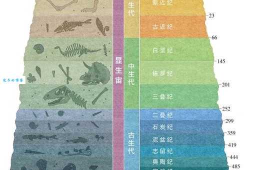 中生代是什么意思？简单解释地质年代的“中生代”