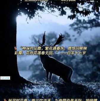 林深时见鹿什么含义？诗意句子深度解析