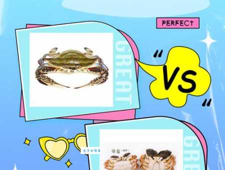 公蟹母蟹的区别：一看便知，教你轻松辨别公母蟹