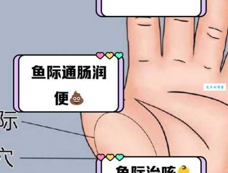 人鱼线位置详解：图文并茂教你轻松找到人鱼线