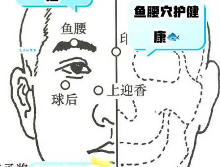 人鱼线位置详解：图文并茂教你轻松找到人鱼线