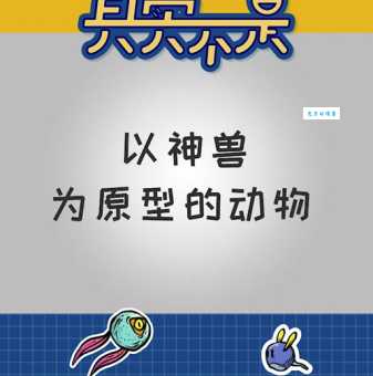 犰狳怎么读？教你轻松记住这种动物的名字