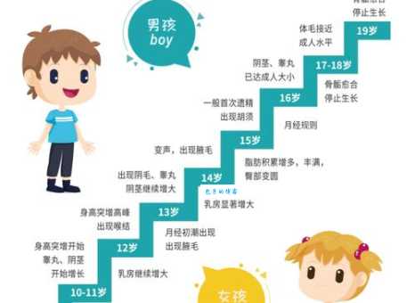 青少年年龄段是多少？权威解读青少年时期范围