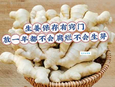 教你几招，生姜保存技巧助你远离干烂烦恼