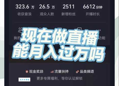 揭秘：成为嘉年华主播，你每月能赚多少钱？