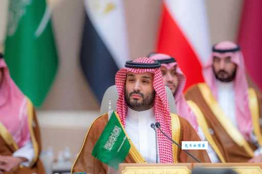 沙特阿拉伯是发达国家吗？经济指标与发达国家标准的差距