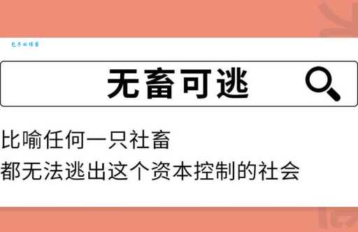 社畜是什么意思？了解社畜文化，看懂职场潜规则