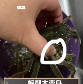 如何快速清洗螃蟹？简单方法，一看就会！