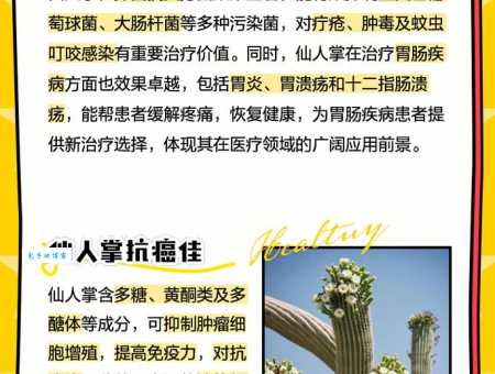 仙人掌百科全书：从种植到用途，全面解读仙人掌