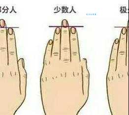 手指长度揭秘：无名指比食指长好不好？