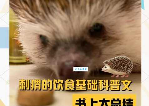 刺猬吃什么食物？野生和家养刺猬的饮食大不同！