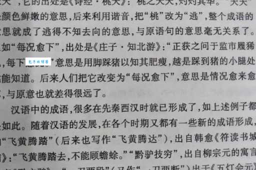 雁过拔毛是什么意思？详解成语典故及现代含义