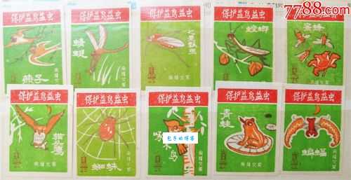 常见的益鸟和益虫有哪些？它们对环境的贡献！