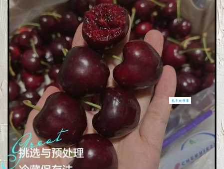 如何延长车厘子保鲜期？实用保存方法教你车厘子保存时间长一点