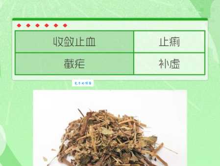 仙鹤草的药用价值：治疗哪些疾病？效果如何？