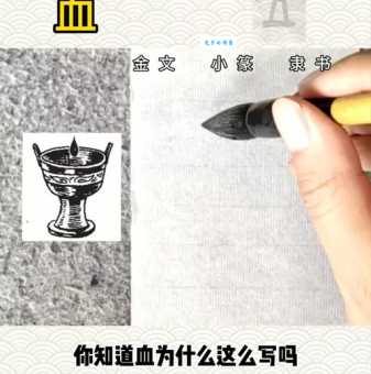 彻底搞懂血的读音：xue和xie的差异与应用