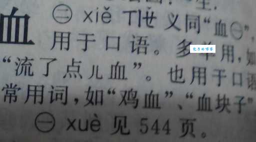 彻底搞懂血的读音：xue和xie的差异与应用