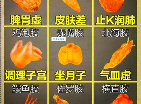 鱼胶粉是什么？制作美味甜点的神奇食材全解析