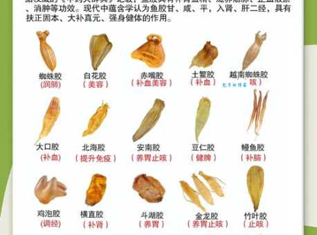 鱼胶粉是什么？制作美味甜点的神奇食材全解析