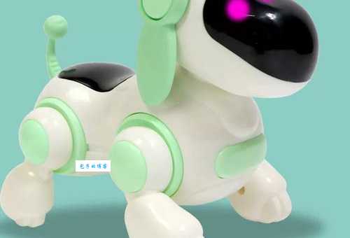 想了解电子狗？带你全面认识电子狗的功能